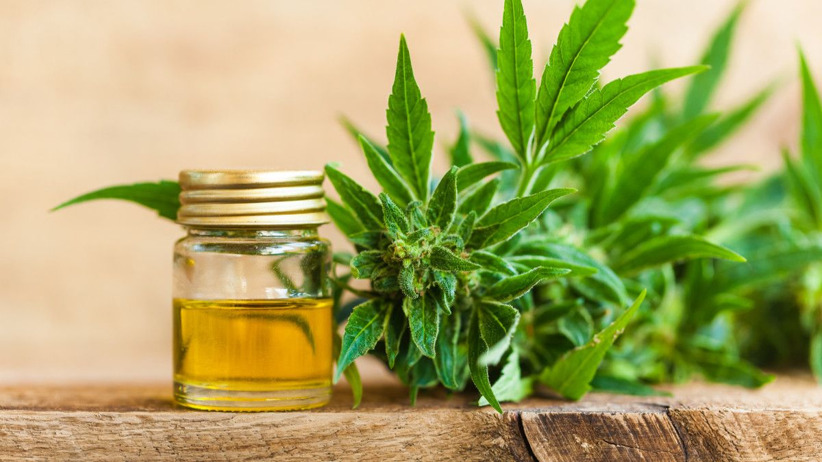 CBD Oil In Thailand, Find What Is Right For You