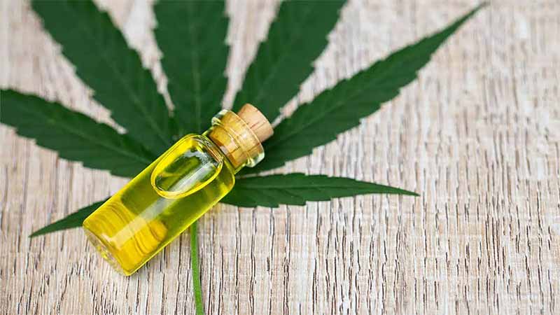 Buy CBD Oil In Thailand Latest