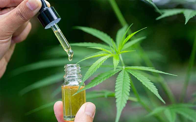THC CBD Oil Thailand Online Shop