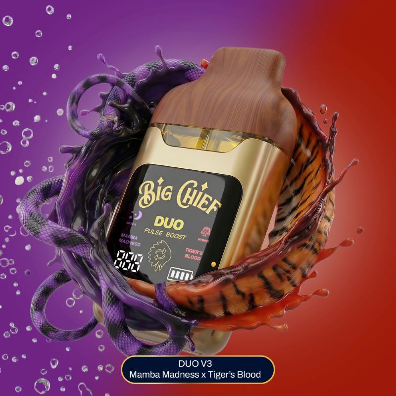 Big Chief - THC Disposable - V3 - 2G - MAMBA MADNESS (I) X TIGER'S BLOOD (H)