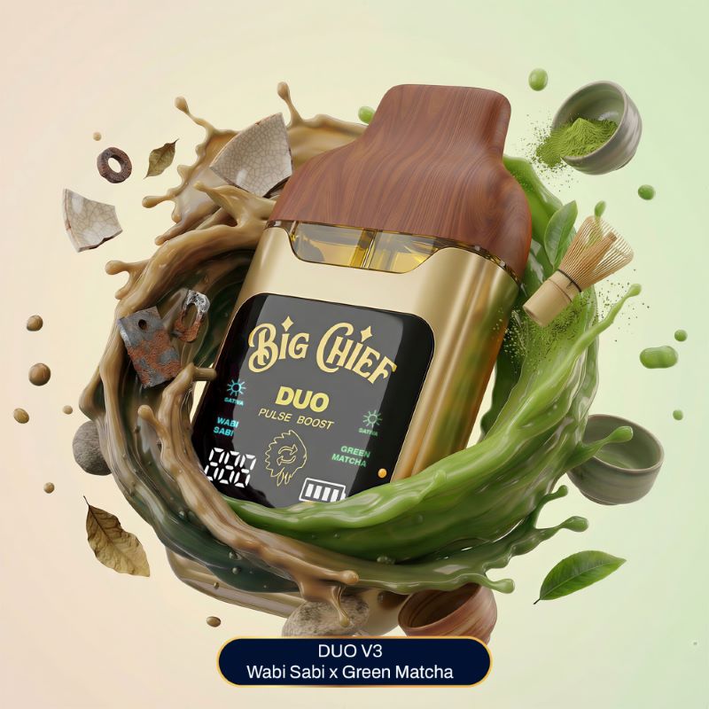Big Chief - THC Disposable - V3 - 2G - WABISABI (S) X GREEN MATCHA (S)